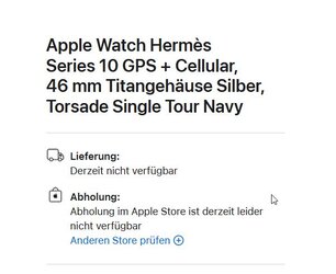 2024-10-11 20_51_23-Apple Watch Hermès Series 10 GPS + Cellular, 46 mm Titangehäuse Silber, To...jpg