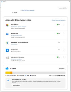 icloud Programm unter Windows.JPG