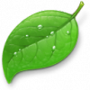 page2_blog_entry6_1.png