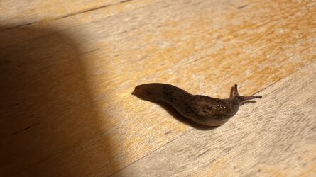 IMG_8826.jpeg