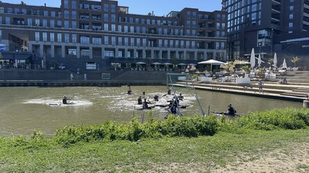 IMG_9874.jpeg