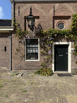 IMG_5370.jpeg