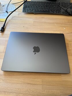 IMG_7779.jpeg