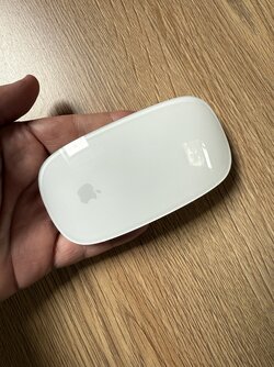 IMG_1697.jpeg