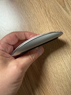 IMG_1698.jpeg