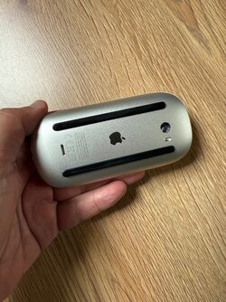 IMG_1699.jpeg