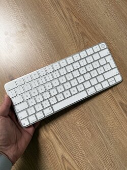 IMG_1700.jpeg