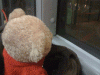 a.gif