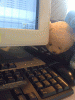 c.gif