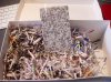 DSC00459.jpg