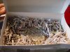DSC00457.jpg
