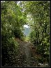 © by Grischa Erbe -  2 (1).jpg