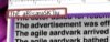 Bild 2.jpg