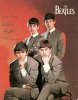 normal_Beatles_64.jpg