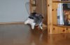DSC00361.jpg