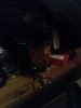 DSC00313.jpg