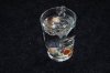 DSC00600.jpg