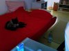 Foto 3.jpg