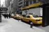 Cab2.jpg