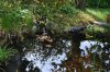 DSC_00e04.jpg
