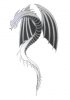 dragon.jpg