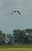 P1060664_nah 2.jpg