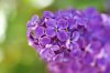 DSC05110.jpg