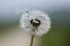 DSC05172.jpg