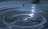 DSC04954.jpg