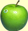 Bild 5.png