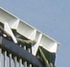 Rä.png