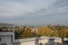 DSC_0241.jpg