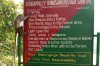 DSC_0004lq.jpg