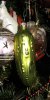 IMG_5564-Gurke.jpg