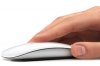 apple_magic_mouse_01.jpg