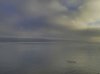 See im Nebel.jpg