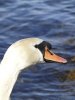 DSC01988 - Arbeits&.jpg