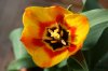 2009_04_09_Balkon_002 b.jpg