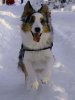 _DSC2662 (1) - Kopie.JPG