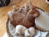 ImageUploadedByTapatalk1321296988.041769.jpg