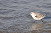 DSC_0898.jpg