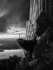 kingkong.png