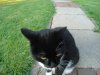 DSC00171.jpg
