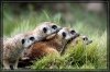 IMG 007 small.jpg