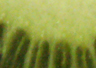 05_Raetsel.jpg