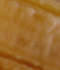 Bild 2.png
