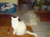 DSC00011.JPG