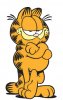 garfield_bd3.jpg