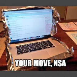 your move NSA.jpg