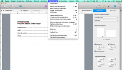 Apple Pages Darstellungsmenü 2014-02-23 um 13.49.13.png